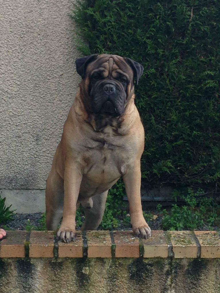 Jump Des Falaises Ardentes